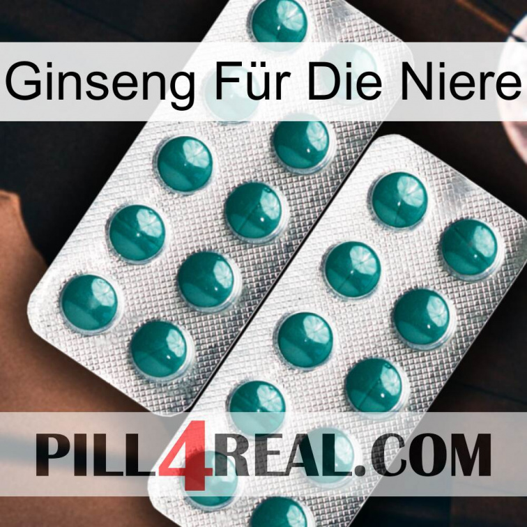 Ginseng Für Die Niere dapoxetine2